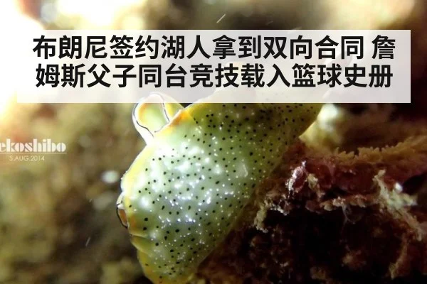 布朗尼签约湖人拿到双向合同 詹姆斯父子同台竞技载入篮球史册