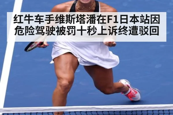 红牛车手维斯塔潘在F1日本站因危险驾驶被罚十秒上诉终遭驳回