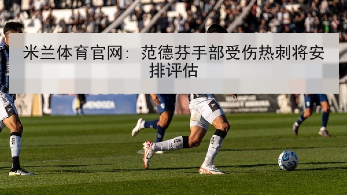 米兰体育官网: 范德芬手部受伤热刺将安排评估